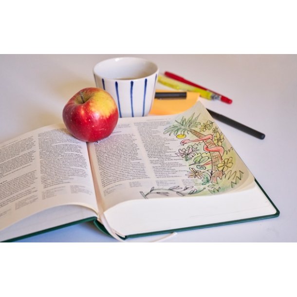 Notesbiblen - gr�n