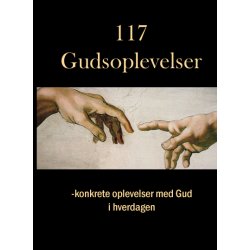 117 Gudsoplevelser