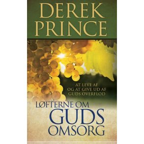 Lfterne om Guds omsorg - Derek Prince