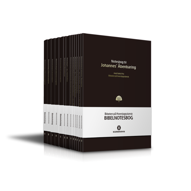 Notesbog- samlet st med 13 NT notesbger