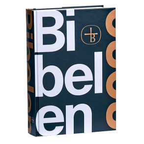 Bibelen p nudansk 2020 - Indbundet