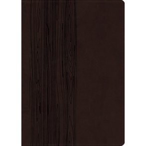 Bibelen p Hverdagsdansk (premium brunt kunstlder med guldkant)