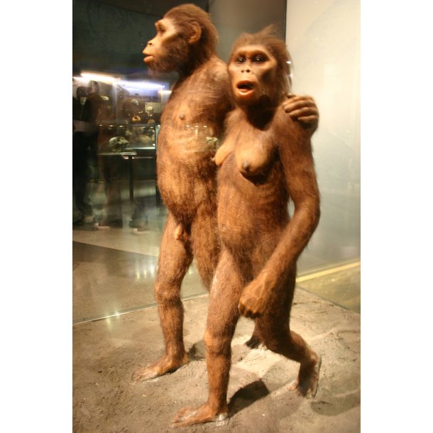 Exit Evolution - Af Karsten Pultz