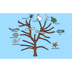 Exit Evolution - Af Karsten Pultz