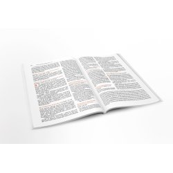 Bibelen p Hverdagsdansk, Ny Testamente, Strand