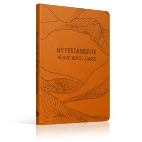 Bibelen p Hverdagsdansk, Ny Testamente, kunstlder