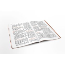 Bibelen p Hverdagsdansk, Ny Testamente, kunstlder