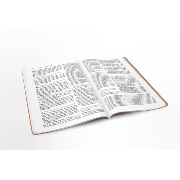 Bibelen p Hverdagsdansk, Ny Testamente, kunstlder