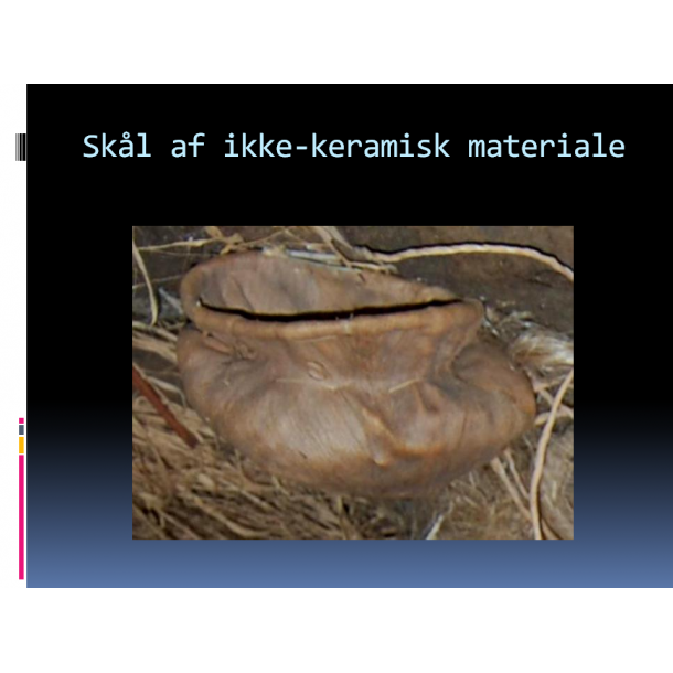 UPDATE (e-bog) august 2018 til bogen Noahs Ark - Historien og det store fund