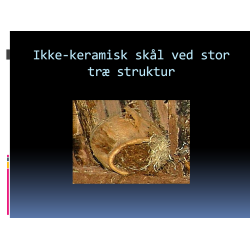 UPDATE (e-bog) august 2018 til bogen Noahs Ark - Historien og det store fund