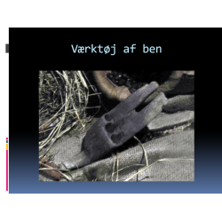 UPDATE (e-bog) august 2018 til bogen Noahs Ark - Historien og det store fund