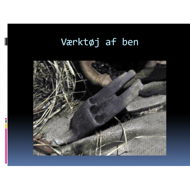 UPDATE (e-bog) august 2018 til bogen Noahs Ark - Historien og det store fund