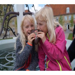 Hjerternes By - World heritage (Engelsk) af Henri Nissen