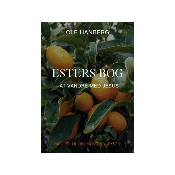 Esters bog - At vandre med Jesus