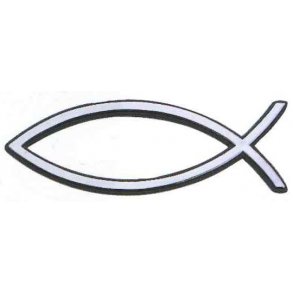 FISK PLASTRELIEF 13 CM