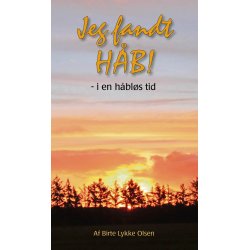 Jeg fandt hb - i en hbls tid (E-bog) - af Birte Lykke Olsen