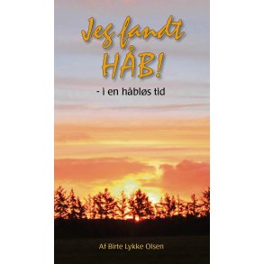 Jeg fandt hb - i en hbls tid (E-bog) - af Birte Lykke Olsen