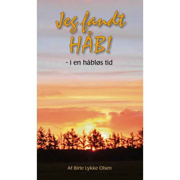 Jeg fandt hb - i en hbls tid (E-bog) - af Birte Lykke Olsen