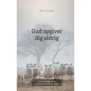 Gud opgiver dig aldrig - Max Lucado
