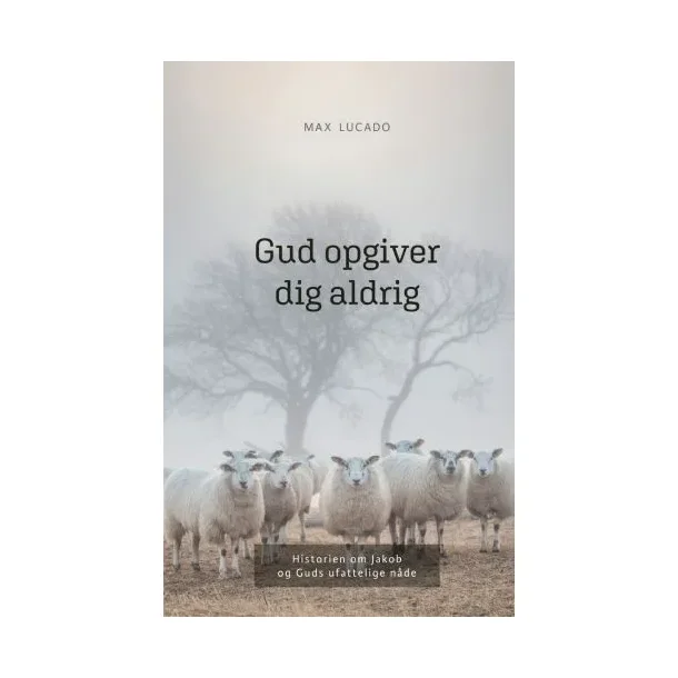 Gud opgiver dig aldrig - Max Lucado