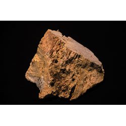 Kineserne finder Noahs Ark (DVD)