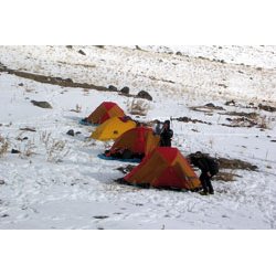 Kineserne finder Noahs Ark (DVD)