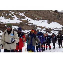 Kineserne finder Noahs Ark (DVD)