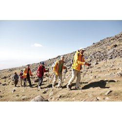 Kineserne finder Noahs Ark (DVD)