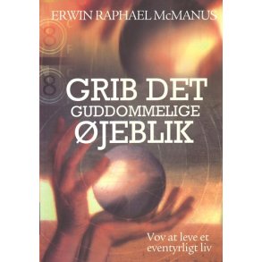 Grib det guddommelige jeblik - af Erwin Raphael McManus